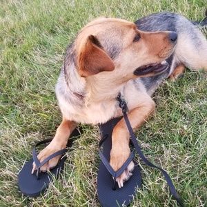 Meet your Posher, Kylie